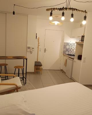 Villa'vi Lyon Est Chambres d'Hôtes