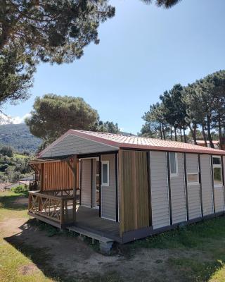 Camping TIKITI
