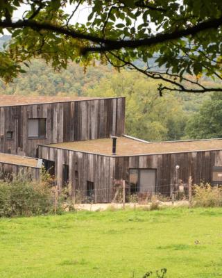 Maison d'Hôtes Cerf'titude