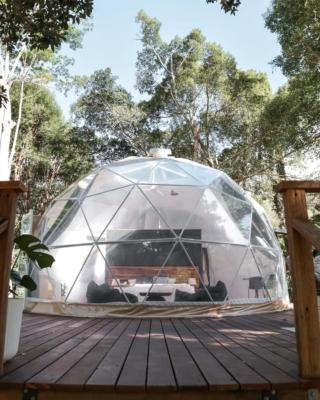RESET Tallebudgera Valley