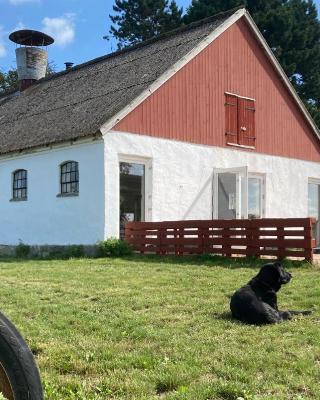 Dambækgaard Sustainable Farm