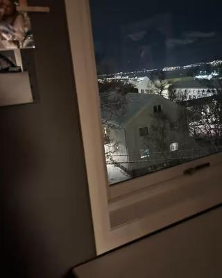 Veslefrikkveien