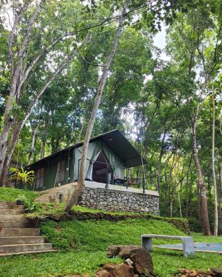 Trickling Stream Campsite