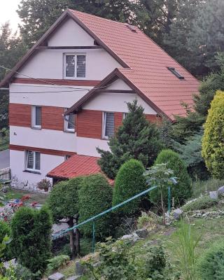 Noclegi Srebrna Góra