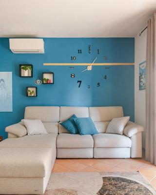 Carducci work & business