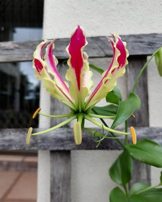 Serenity Place B&B and Conference, wedding venue