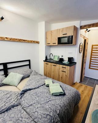 Apartmán v klidné části Benešova