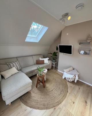 Studio Perron 10