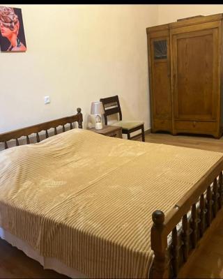 Apartment In City Center