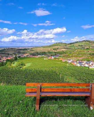 Gästehaus Weingut Mangel