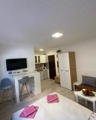 Apartmani Krčmarica 9