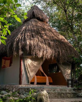 Akumal Natura Glamping