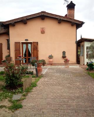 Casina gialla