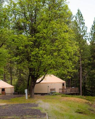 Yosemite Lakes Hillside Yurt 1