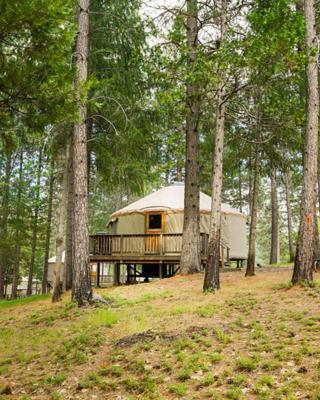 Yosemite Lakes Hillside Yurt 5