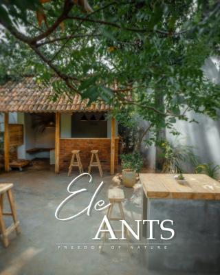 Ele Ants