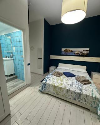 B&B Phistelia