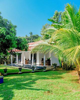 Eco Friendly Lodge