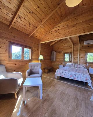 Nuevo Ecolodge Cabañeros