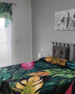 Bed and Breakfast Oasi