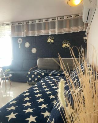 leveilat suite