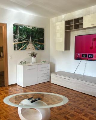 Melide lake apartment