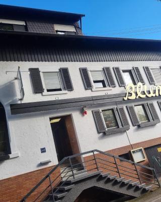 Gasthaus & Pension Bracki gusti