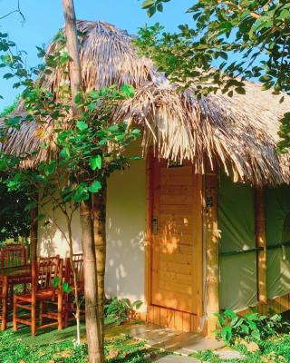 Khu Du Lịch Sinh Thái Ba Vì Eco Camping