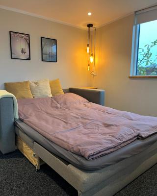 Cosy Guesthouse near Copenhagen