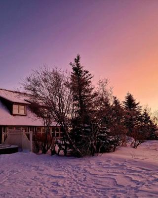 Milli Vina Guesthouse