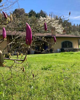 Villa Vinea Prisca B&B
