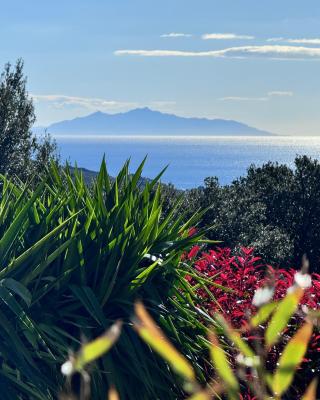Gîte indépendant dans villa entre mer et maquis