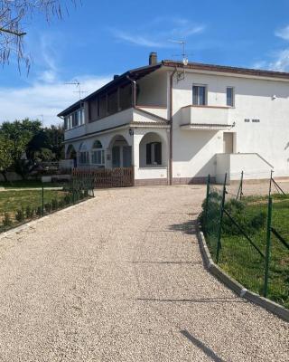 Il Tiglio B&B