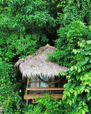 TheJungleGuide - Lodges & Treks