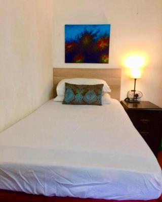 Nice single room with beautiful nature