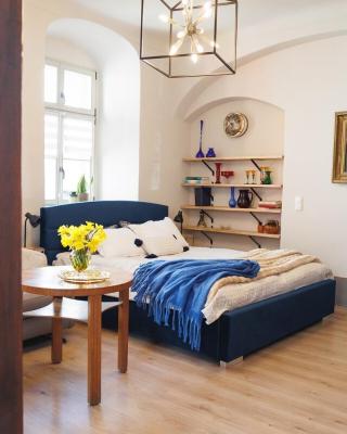 Stylish apartment in the baroque house