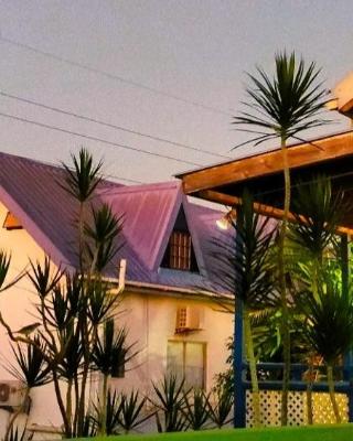 Bananaquit Tobago -Stay Near the Beach