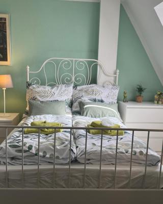 City View Apartment - WiFi - Netflix - Airport Shuttle