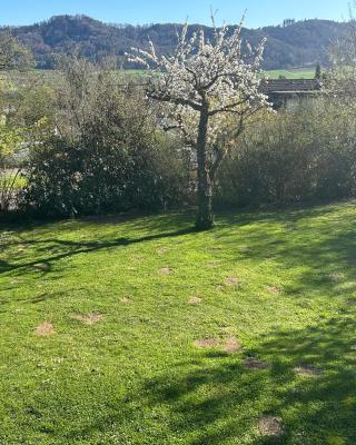 Garten Wohnung