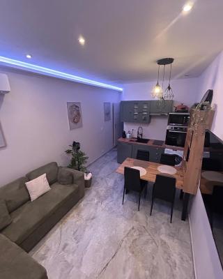 Montargis Apartment
