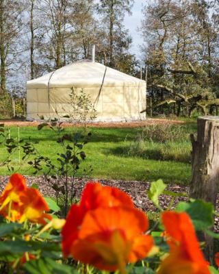 Yurt Klyndobbe