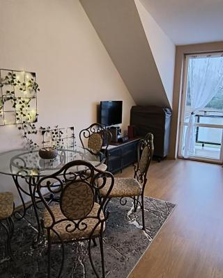 Apartman Paula 1
