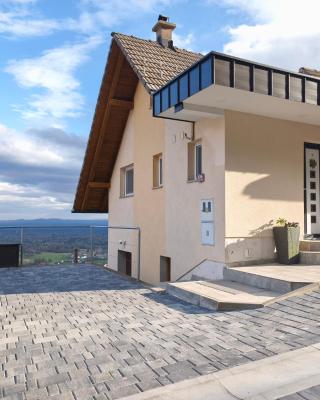 Zidanica-Vineyard Cottage Jakše
