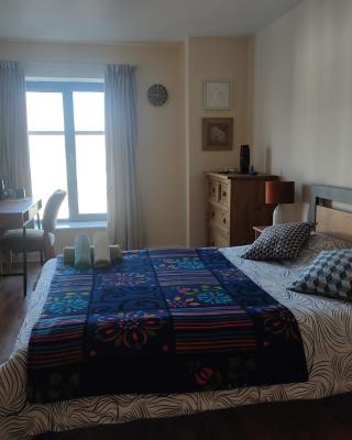 Swallows Nest - spacious bright double bedroom with ensuite bathroom
