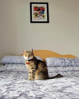 Central Stay with Free Parking Private Room in Shared Flat