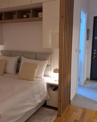 Apartman Aleksandra Vrnjacka Banja