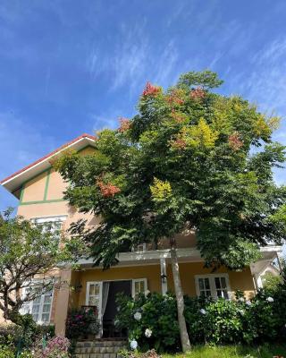 BICH DAO Boutique - Dalat