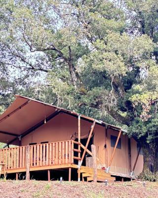 Lodge A NASSA