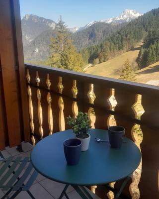Appartement vu sur la montagne