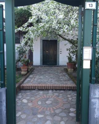B&B Camelie